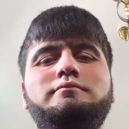 ����, �����������, 36 ���