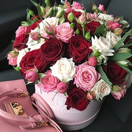 �����, �����������, 51 ���