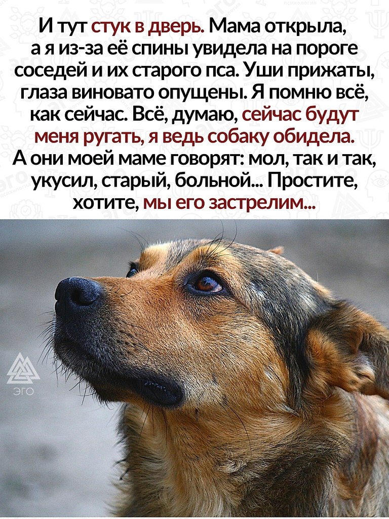     , ,   ,    . - 3