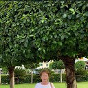 ���� �������, ������, 65 ��� - ��������� 3 ������ 2023 � ������ ���� ����������