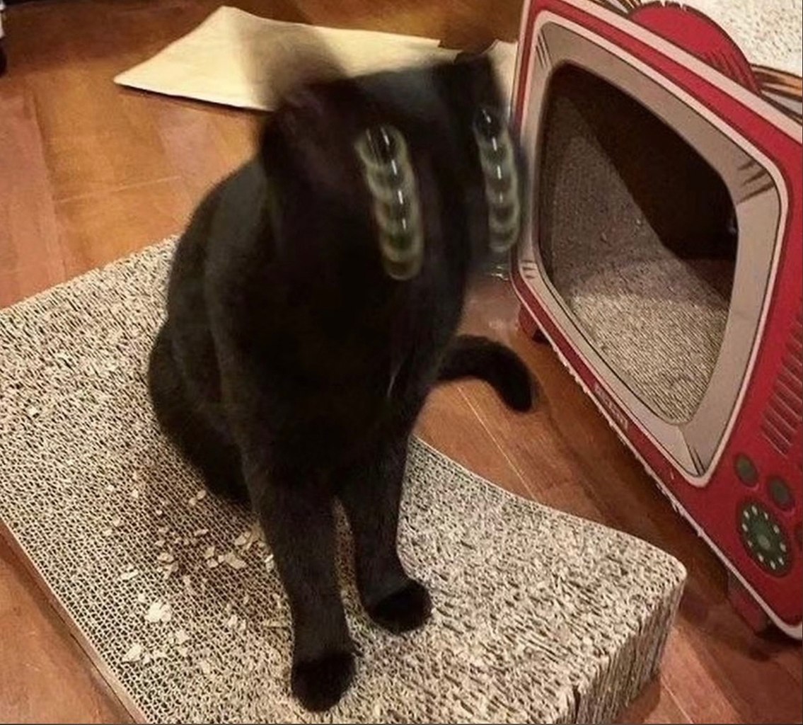  ,    ,   