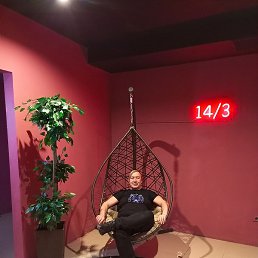 ����, �����, 51 ���