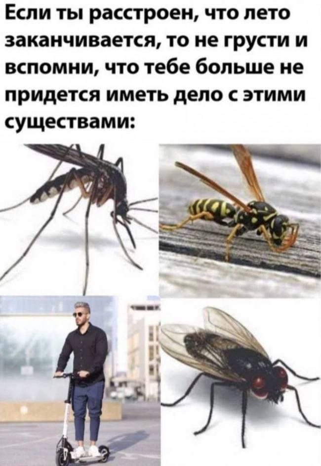 - ,      ?     ,  ...