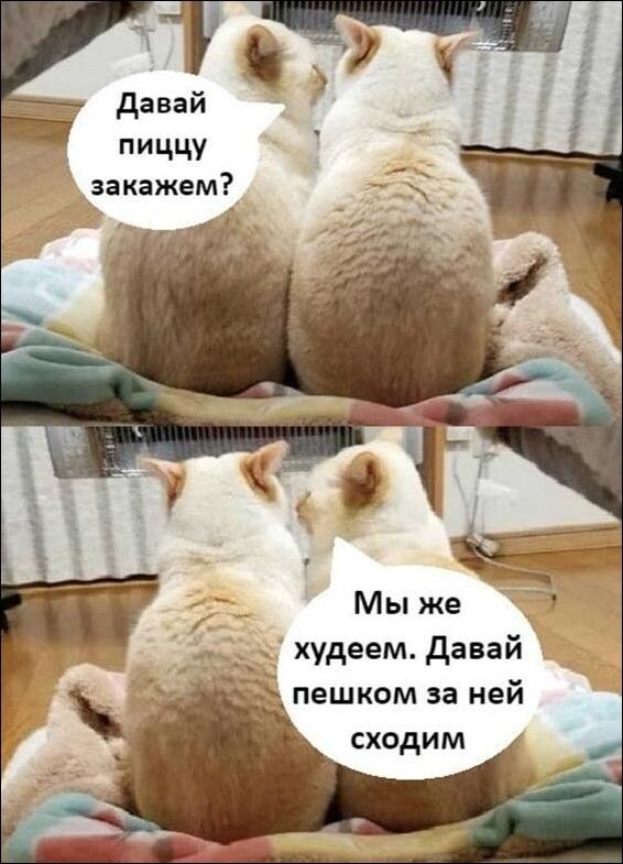 ♥  ♥ ♥ - 16  2023  21:42