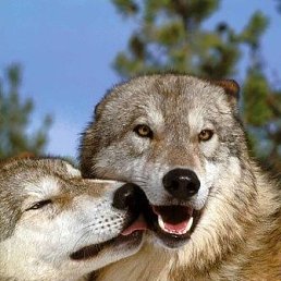 ���� ������, �������, 37 ��� - ��������� 27 ���� 2023