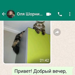 �������, ������, 67 ���