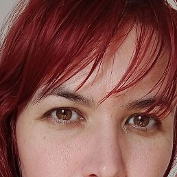 �����, ��������, 39 ���