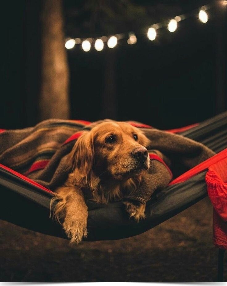      ,     : , ,    , ...