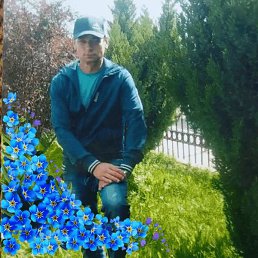 ������, �����, 55 ���