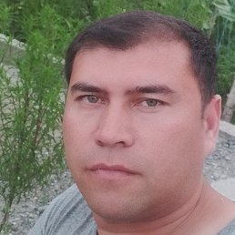 ���������, �������, 38 ���