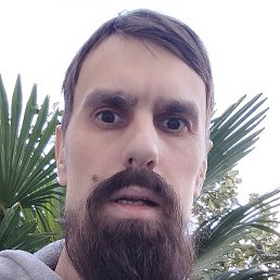 ������, ���������, 40 ���