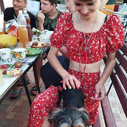 ������, �����������, 37 ���