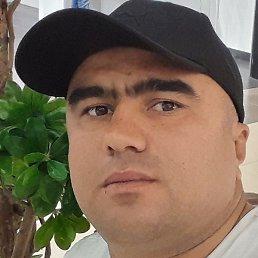 ���� �������, �����������, 40 ���