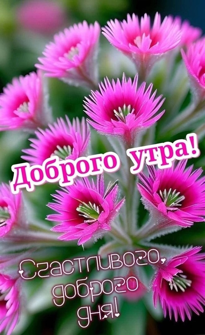  - 10  2023  07:36