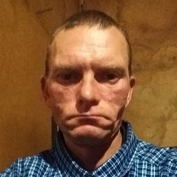 ����, �����������, 41 ���