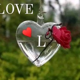 Paaoo Kamano, �����������, 27 ���