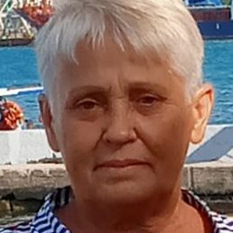 ���, ���������, 66 ���