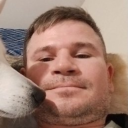 �����, �����-���������, 42 ����