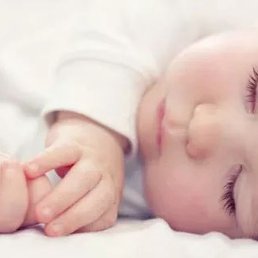 ������, �����, 25 ���