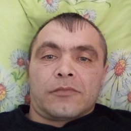 �������, ������, 40 ���