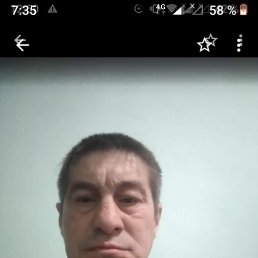 , 55 , 