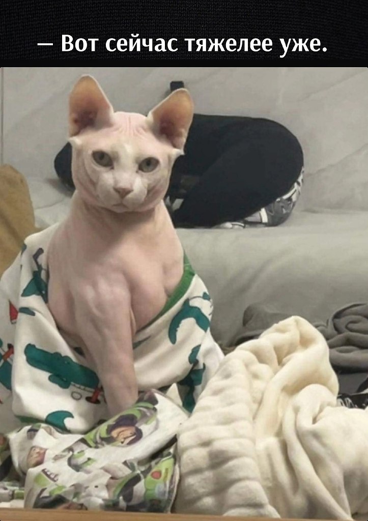       - 15  2023  17:31 - 3