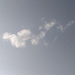 ���, �������, 40 ���