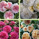 ���� ��������, �����������, 55 ��� - ��������� 14 �������� 2023 � ������ ���� ����������