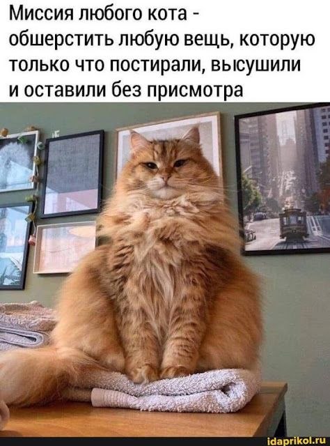   :  ,  . //   ,    ,  ...