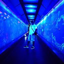 ���� ������, �������, 61 ��� - ��������� 27 ���� 2023 � ������ ���� ����������