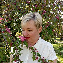 �����, �������, 49 ���