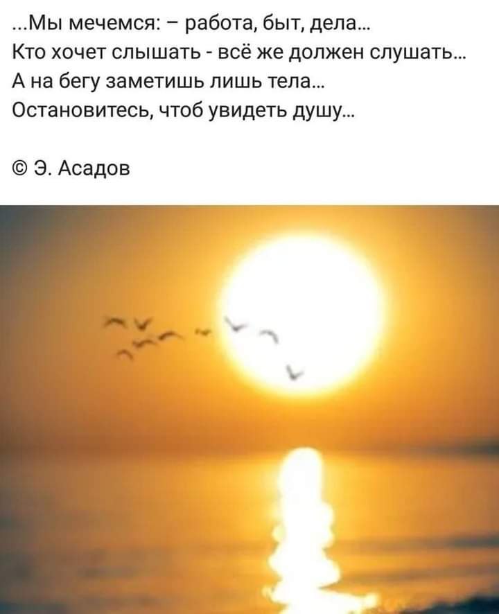  - 24  2023  19:53