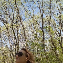 , 53, 