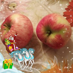 ���� �����, �����, 62 ���� - ��������� 24 ��� 2023