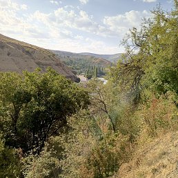 �����, �����, 48 ���