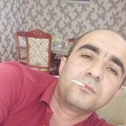 �����, ���������, 46 ���