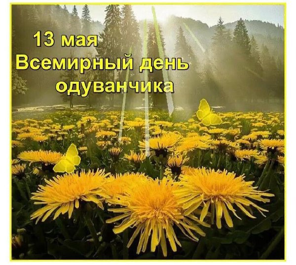 Люди придумали для одуванчика свой праздник, и решили отмечать его 13 мая. Этот скромный цветок для ...