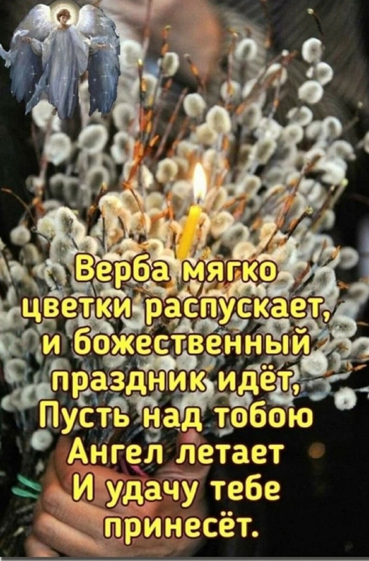 °~Venus Marina~° - 9  2023  11:22 - 2