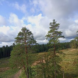 ������, ������, 37 ���