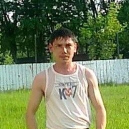 ������, ������, 38 ���