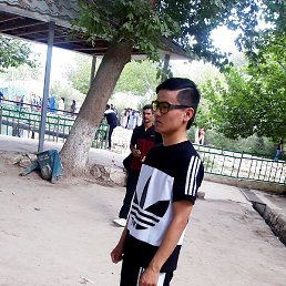 Olim, �����-���������, 24 ����