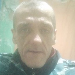 ����, �����-���������, 48 ���