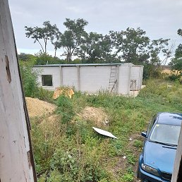 ���������, �������, 42 ����