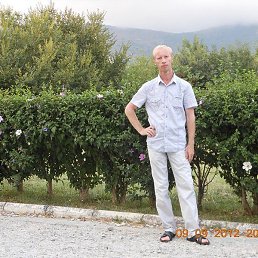 ������, �����������, 54 ����