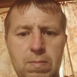 ����, ������, 40 ���