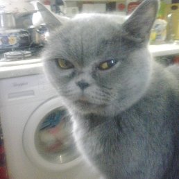 ���� Witalij, ������, 56 ��� - ��������� 6 ������� 2023