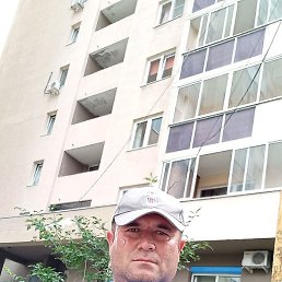 �����, �����, 46 ���