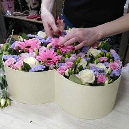 ������, ������, 37 ���