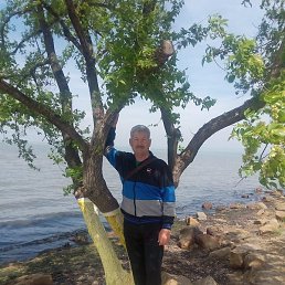 ��������, ���������, 63 ����