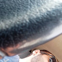 ������, ������, 33 ����